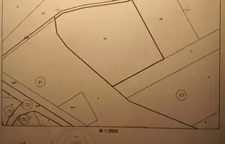 Земеделски имот в Монтана, с. Мърчево