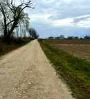 Земеделски имот в Пловдив, с. Оризари