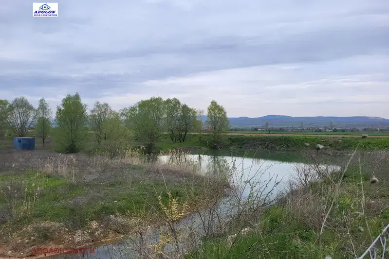 Agricultural Land in Oblast Pazardjik, Pamidovo