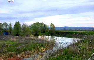 Земеделски имот в Пазарджик, с. Памидово