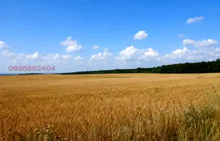 Земеделски имот в Добрич, с. Поручик Кърджиево