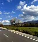 Земеделски имот в Габрово, с. Престой