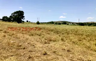 Земеделски имот в Добрич, с. Росица