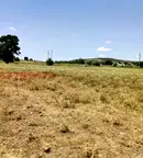 Земеделски имот в Добрич, с. Росица
