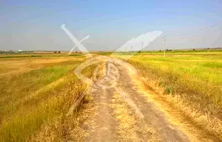 Земеделски имот в Бургас, с. Рудник