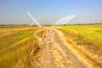 Земеделски имот в Бургас, с. Рудник