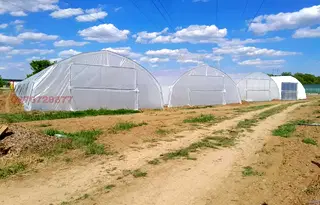 Земеделски имот в Търговище, с. Руец