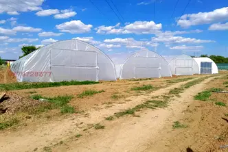 Земеделски имот в Търговище, с. Руец
