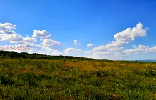 Земеделски имот в Плевен, с. Рупци