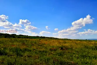 Земеделски имот в Плевен, с. Рупци