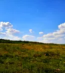 Земеделски имот в Плевен, с. Рупци