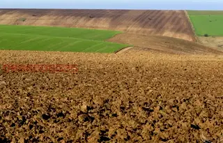 Земеделски имот в Русе, с. Ряхово