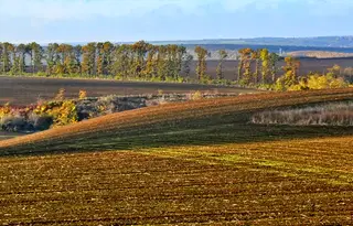 Земеделски имот в Плевен, с. Садовец