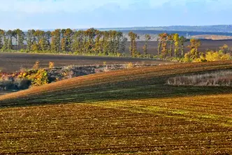 Земеделски имот в Плевен, с. Садовец