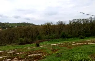 Земеделски имот във Варна, с. Солник