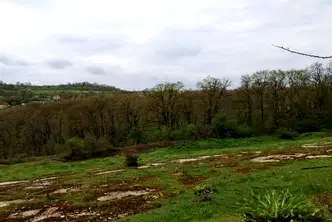Земеделски имот във Варна, с. Солник