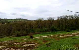 Земеделски имот във Варна, с. Солник