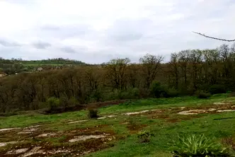 Земеделски имот във Варна, с. Солник