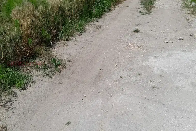 Agricultural Land in Oblast Varna, Zdravec