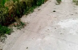 Земеделски имот във Варна, с. Здравец