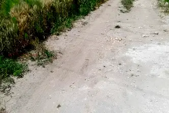 Земеделски имот във Варна, с. Здравец
