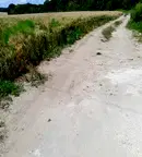 Земеделски имот във Варна, с. Здравец