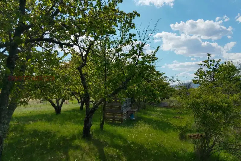 Agricultural Land in Oblast Kyustendil, Sapareva Banya