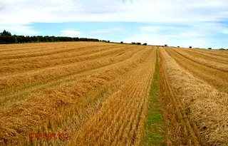 Земеделски имот в Стара Загора, Стара Загора