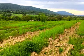 Земеделски имот в Пазарджик, Стрелча