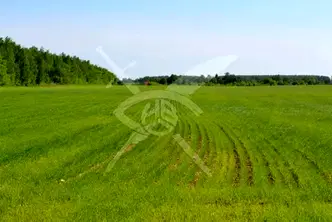 Земеделски имот в Бургас, Сунгурларе