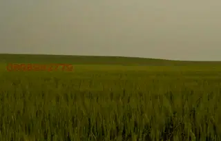 Земеделски имот във Варна, Суворово