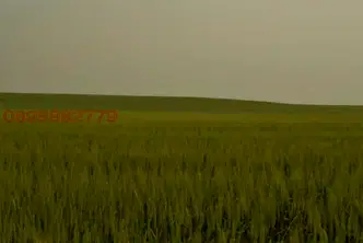 Земеделски имот във Варна, Суворово