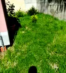 Етаж от къща в Кюстендил, Център