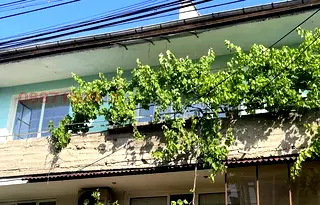 Етаж от къща в Раз, Житница