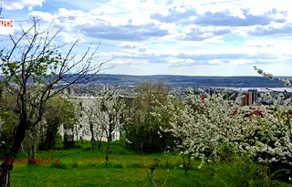 Етаж от къща във Варна, м-т Пчелина