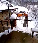 Къща в Монтана, Берковица