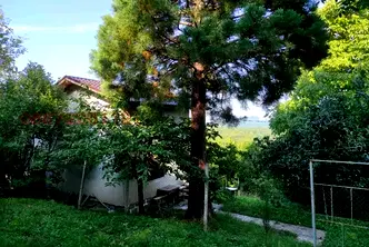 Къща в Монтана, Берковица
