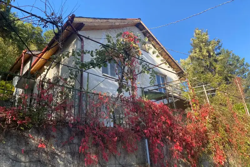 House in Oblast Pazardjik, Bracigovo