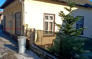 Къща във Видин, Димово