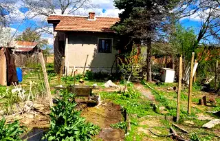 Къща във Видин, Дунавци