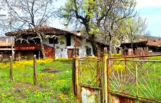 Къща във Велико Търново, Елена