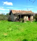 Къща в Хасково, Орфей