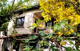 Къща в Кърджали, Боровец