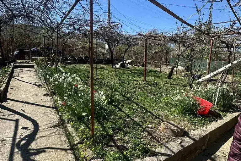 House in Kyrdjali, Veselchane