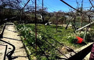 Къща в Кърджали, Веселчане