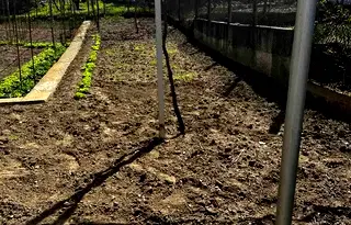 Къща в Кърджали, Веселчане