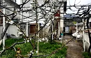 Къща в Стара Загора, Мъглиж