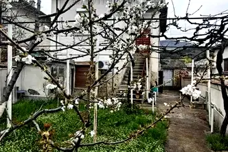 Къща в Стара Загора, Мъглиж