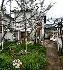 Къща в Стара Загора, Мъглиж