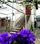 Къща в Стара Загора, Мъглиж